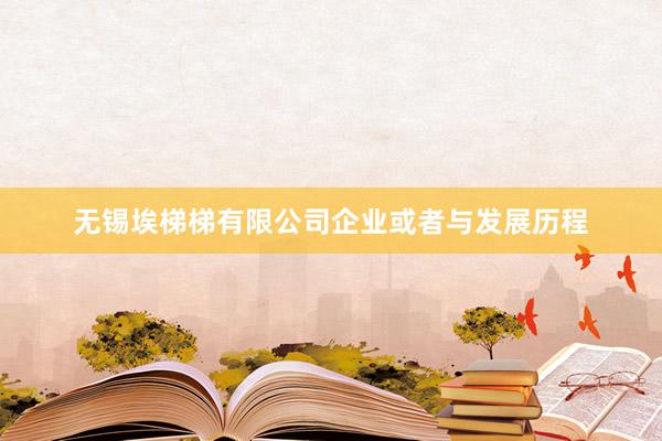 无锡埃梯梯有限公司企业或者与发展历程