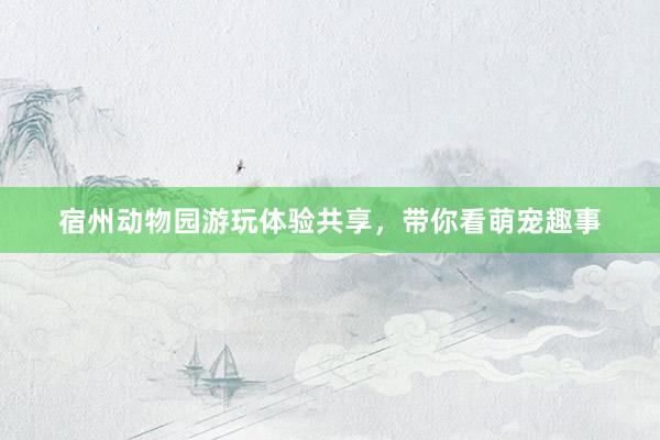 宿州动物园游玩体验共享，带你看萌宠趣事